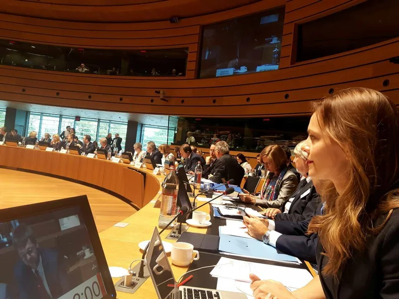 EMPLOYMENT, SOCIAL POLICY, HEALTH & CONSUMER AFFAIRS COUNCIL (EPSCO) - Image 2