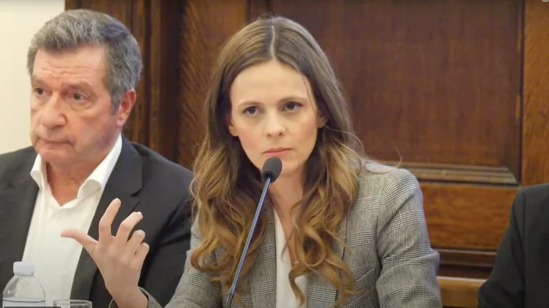 Attitudes and Perceptions of Greek Society toward the Constitution - Image 3